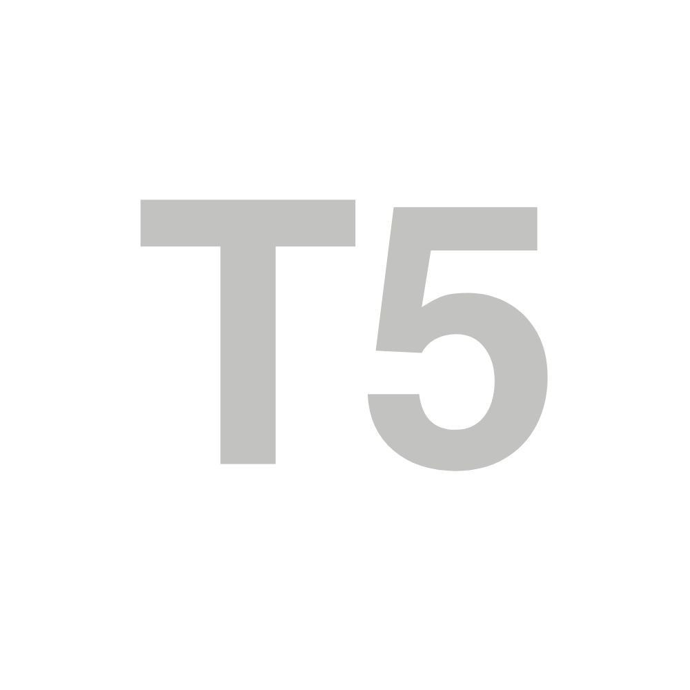 Poulie T5